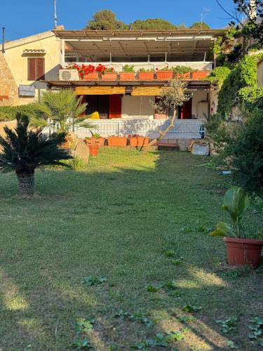 a yard with a house with plants in it at Casa Stewart - Ponente in Geremèas