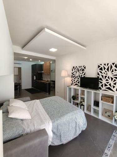 a bedroom with a bed and a television in it at Monolocale Farina in Cagliari