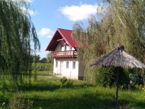 Zahrada ubytování Camera Primăverii 1