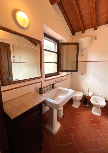 a bathroom with a sink and a toilet at Podere Sole in Trequanda