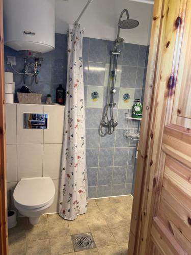 a bathroom with a shower and a toilet at Papli Apartment near the Beach in Pärnu