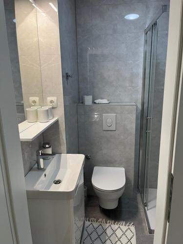 a bathroom with a toilet and a sink and a shower at Apartman Andrijanic in Grude