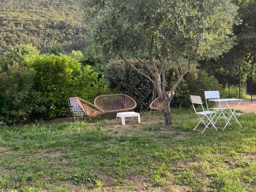 un groupe de chaises, une table et un arbre dans l'établissement Casa Orani, à Ponte-Leccia