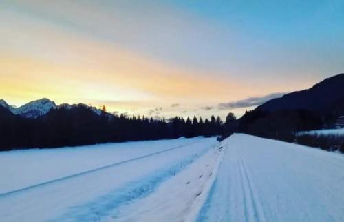 a snow covered field with trees and mountains in the background at Apartments Podkoren 82 in Kranjska Gora