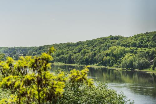 vista su un fiume con alberi sullo sfondo di Kaunorama Riverside Suite a Kaunas