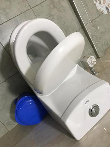 a white toilet in a bathroom with a blue bowl at JnB Naivasha town 1Bedroom in Naivasha