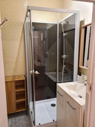 une salle de bain avec douche et lavabo dans l'établissement Grand duplex au coeur du centre historique, à Paray-le-Monial