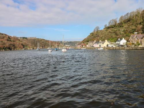 a large body of water with boats in it at Harbour High Annex in Fishguard
