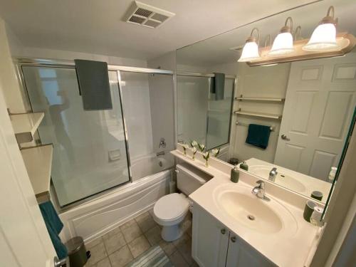 a bathroom with a sink and a toilet and a mirror at Alaa Aldahhan in Mississauga