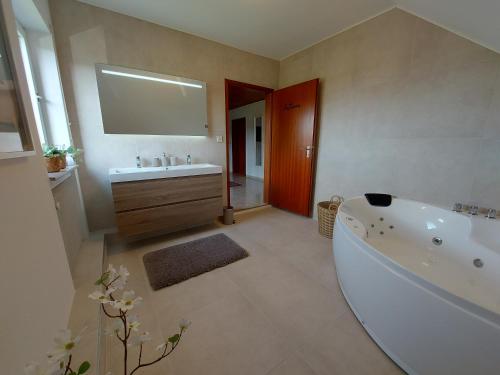 Ένα μπάνιο στο Ferienhaus Hescheld With Private Jacuzzi