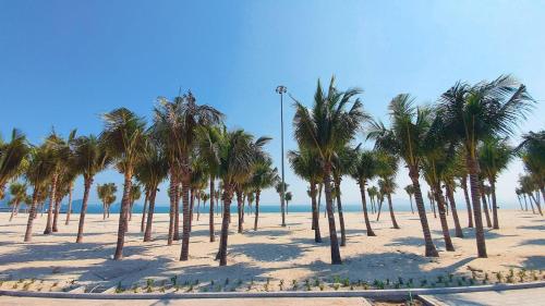 a row of palm trees on a beach at Khách sạn Time Lotus Hạ Long in Ha Long