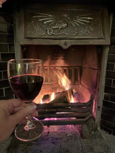 a person holding a glass of wine in front of a fireplace at Clone Country House in Aughrim