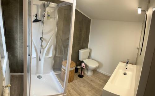 une salle de bain avec douche et toilettes dans l'établissement Charmante maison au calme, à Chauvigny
