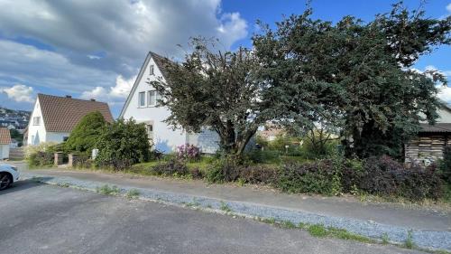a white house with a tree on the side of a street at Ferienhaus Platzhirsch in Bad Hersfeld mit Garten, 2 Bäder, 3 Schlafzimmer & Küche - gratis Parkplätze in Bad Hersfeld