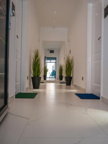 an empty hallway with potted plants in a building at Sunny Corner Apartments in Visoko