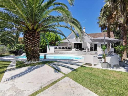 un palmier installé à côté d'une piscine dans l'établissement Villa Barbot ANGLET Proches Plages, à Anglet