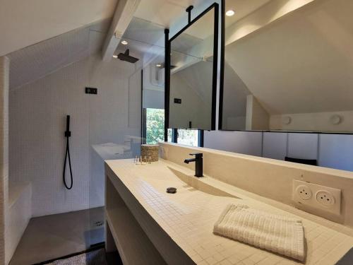 a bathroom with a sink and a large mirror at Villa Barbot ANGLET Proches Plages in Anglet