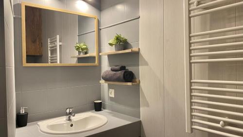 ein Bad mit einem Waschbecken und einem Spiegel in der Unterkunft Chaleureuse Échappée : Commodités, Calme, Confort in Angers