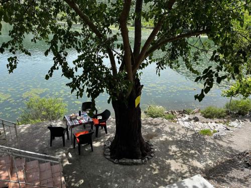 a table and chairs under a tree next to a lake at Lakeview Apartments Jolicic in Virpazar