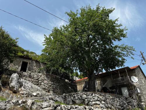 a building with a tree and a stone wall at Lakeview Apartments Jolicic in Virpazar