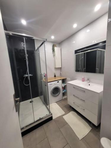 une salle de bain avec douche et machine à laver dans l'établissement Appartement spacieux et moderne, à Tours
