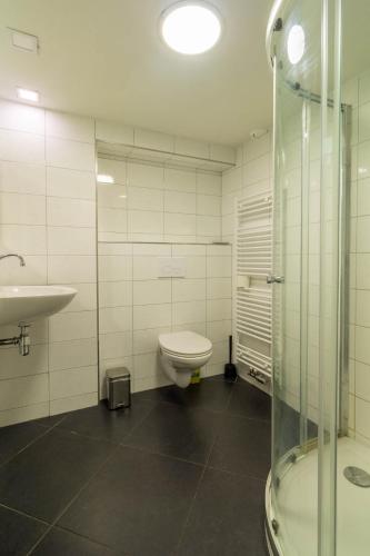 a bathroom with a toilet and a sink and a shower at Holiday Home Eekhoornbosch in Otterlo