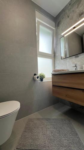 a bathroom with a toilet and a sink and a window at Luxury apartment Black Pearl Beluga with private Pool and Jacuzzi in Novalja
