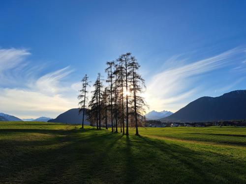 a group of trees in a field with mountains in the background at Bacher´s Home am Sonnenplateau in Mieming