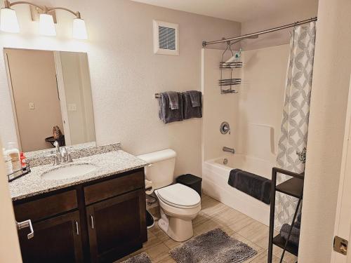 uma casa de banho com um WC, um lavatório e um chuveiro em 2 Bedroom Brand New Apartment Near Mayo, Park Free em Rochester