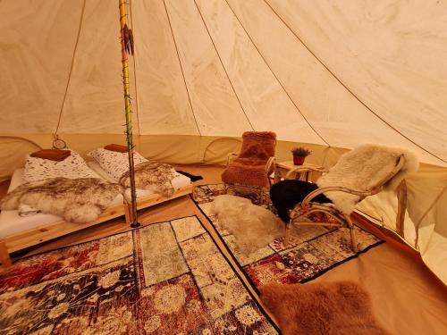 a tent with three beds and a dog in it at Naturlig Viis in Øster Ulslev