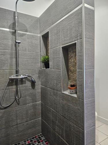 une salle de bain avec douche aux carreaux gris dans l'établissement Agréable logement avec terrasse, à Saint-Victoret