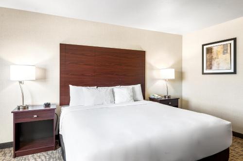 a large bed in a hotel room with two lamps at Boarders Inn & Suites by Cobblestone Hotels - Shawano in Shawano