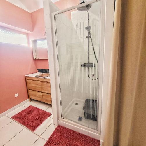 une salle de bain avec une douche avec une porte vitrée dans l'établissement Duplex cosy La petite Arche centre Pont de l'arche, à Pont-de-lʼArche