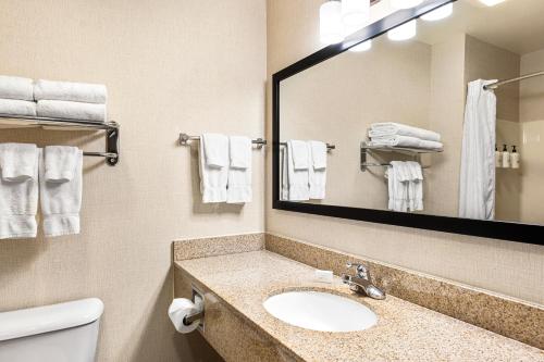 a bathroom with a sink and a mirror and a toilet at Boarders Inn & Suites by Cobblestone Hotels - Shawano in Shawano