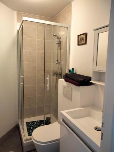 une salle de bain avec une douche, des toilettes et un lavabo dans l'établissement Studio à côté de la plage, à Hendaye