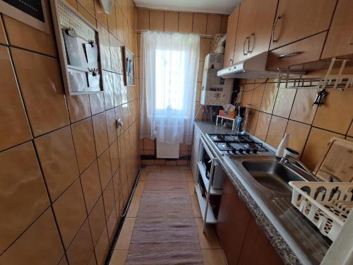 a small kitchen with a sink and a stove at Hellen Studio Predeal in Predeal