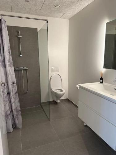 a bathroom with a toilet and a shower and a sink at Faroe Stay Apartments, No.1 in Hoyvík