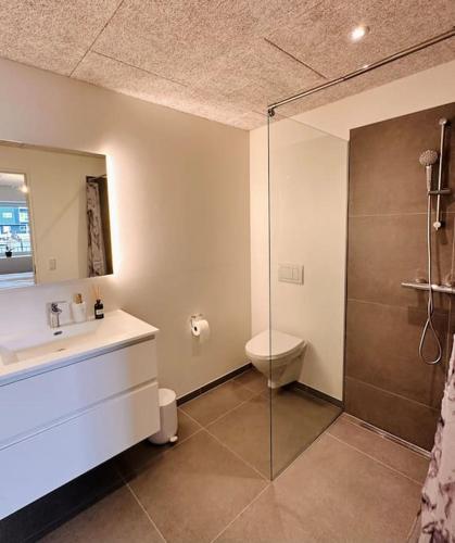 a bathroom with a shower and a sink and a toilet at Faroe Stay Apartments, No.1 in Hoyvík