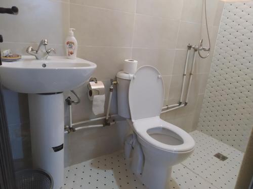 un baño con inodoro y lavabo en Tigmmi alhana, en Taourirt Izakarn