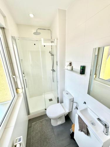 La salle de bains est pourvue d'une douche, de toilettes et d'un lavabo. dans l'établissement Le Cosy T2 15 min de Strasbourg, à Bischheim