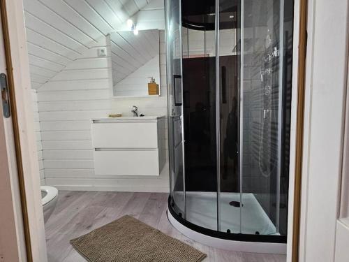 にあるMaison bois de 65m²のバスルーム(シャワー、洗面台、トイレ付)
