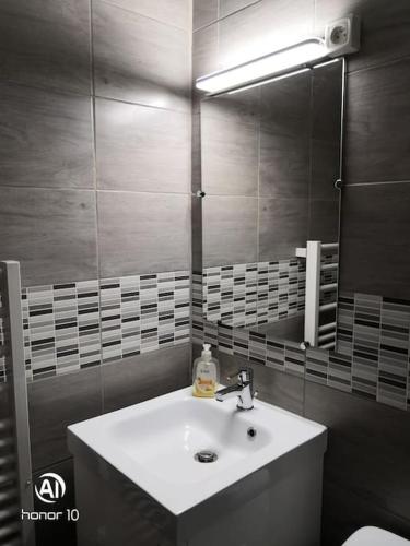 une salle de bain avec un lavabo et un miroir dans l'établissement Studio 4 Personnes côté Sud, à Superdevoluy