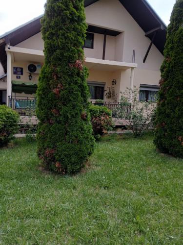 a house with a green hedge in the yard at Apartman AM Mladenović in Vranje