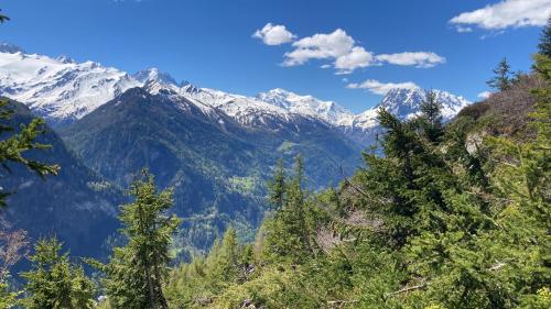 a view of a mountain range with trees and snow at Bel appartement 2.5 pièces avec balcon, magnifique vue sur le glacier des Grands in Finhaut