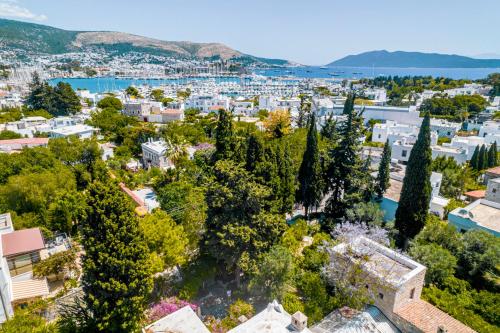 an aerial view of a city with trees and buildings at Ha La Bodrum in Bodrum City