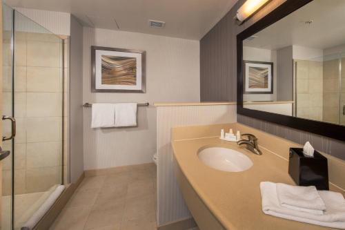 a bathroom with a sink and a shower and a mirror at Courtyard Washington, DC/U.S. Capitol in Washington