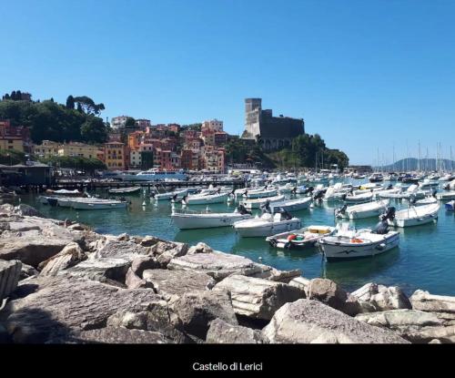 a bunch of boats are docked in a harbor at "A Ridosso" sul mare nel cuore del paese in Le Grazie