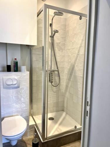 une salle de bain avec douche et toilettes dans l'établissement Studio Le Sanlecque, Wifi Tv 2personnes, à Nantes