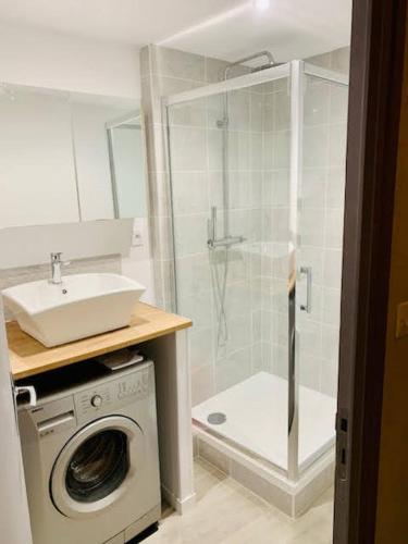 une salle de bain avec un lavabo et une machine à laver dans l'établissement Au vieux pont romain, à Amélie-les-Bains-Palalda