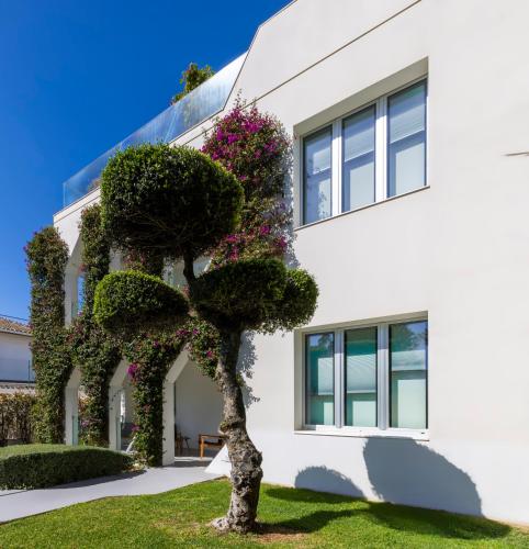 Κήπος έξω από το Villa Vi